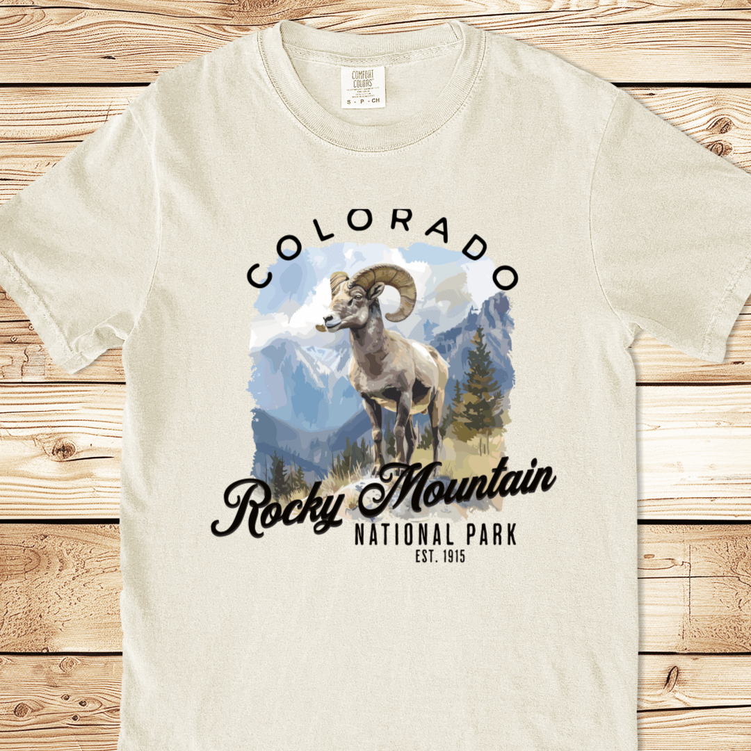 Mockup 6
