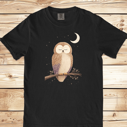Owl in the Moonlight Relaxed Fit Tee - Ramblin Road