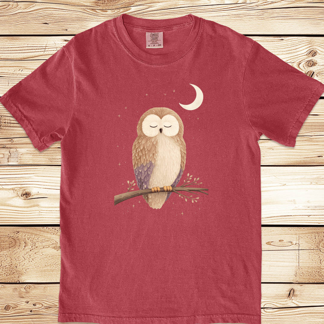 Owl in the Moonlight Relaxed Fit Tee - Ramblin Road