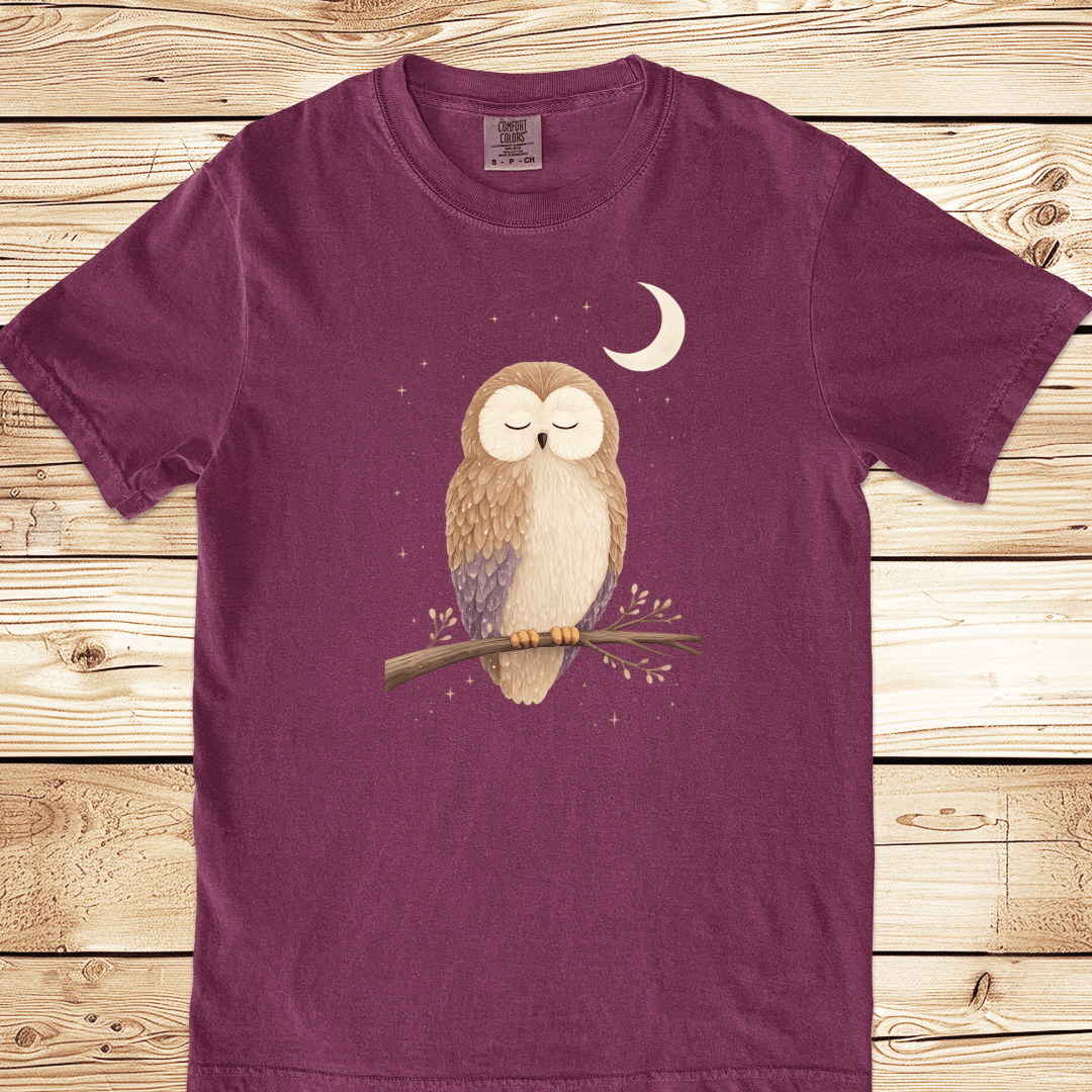 Owl in the Moonlight Relaxed Fit Tee - Ramblin Road