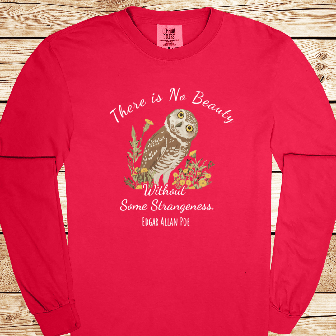 There is No Beauty Poe Quote Long Sleeve Tshirt - Ramblin Road