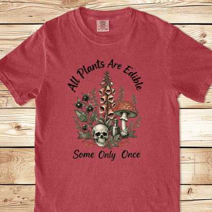 Mockup 7