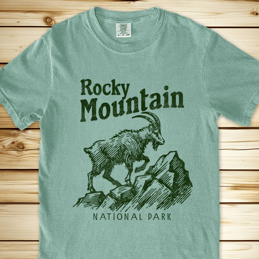2256 Rocky Mountain National Park Relaxed Fit Tee - Bay