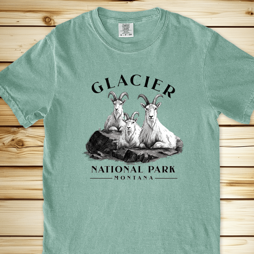 1927 Glacier Nat Park Goat Relaxed Fit Tee - Bay