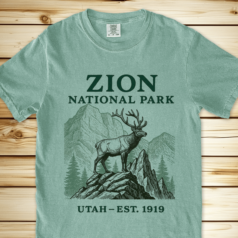 2257b Zion National Park Relaxed Fit Tee - Bay