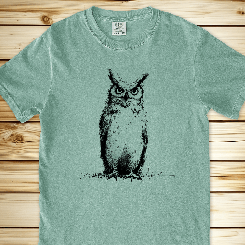 2277 Brooding Owl Relaxed Fit Tee - Bay