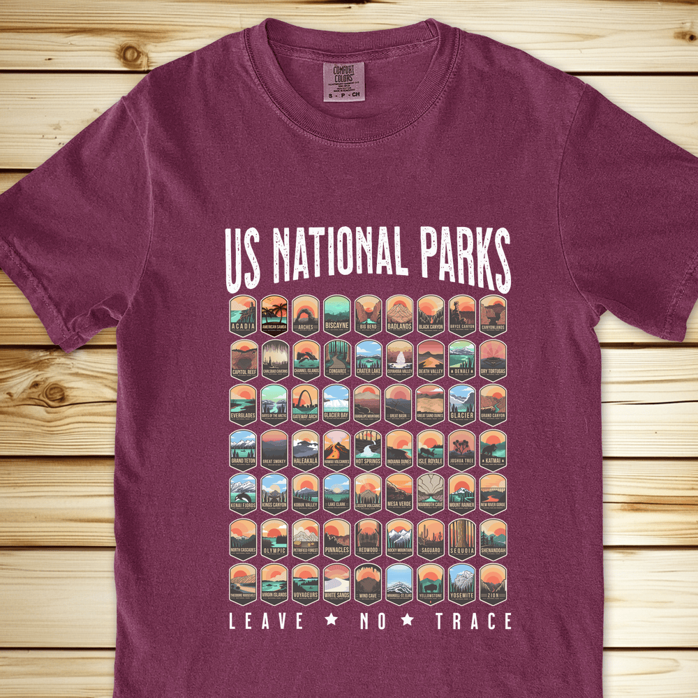 1749 National Parks Relaxed Fit Tee - Berry