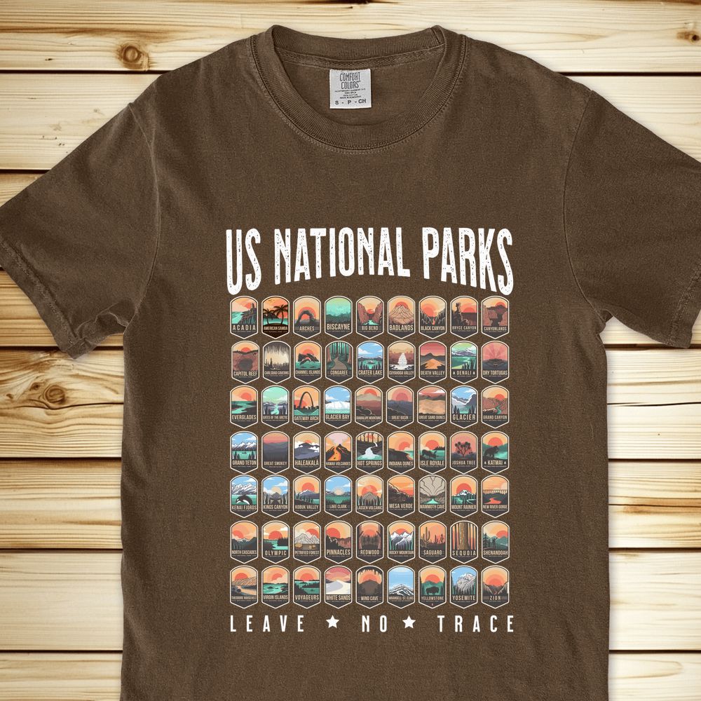 1749 National Parks Relaxed Fit Tee - Espresso