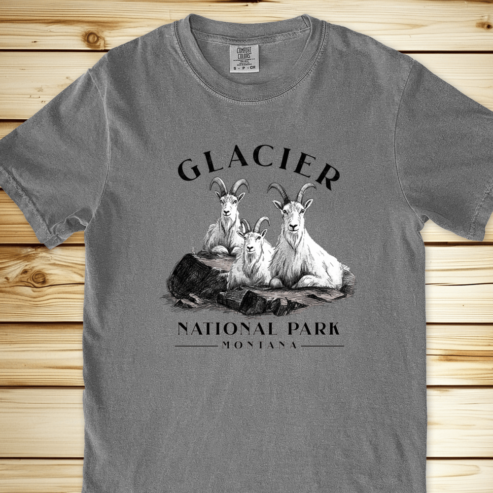 1927 Glacier Nat Park Goat Relaxed Fit Tee - Grey