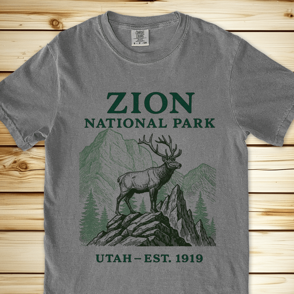 2257b Zion National Park Relaxed Fit Tee - Grey