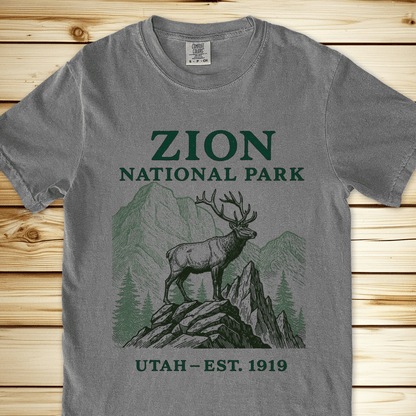 2257b Zion National Park Relaxed Fit Tee - Grey