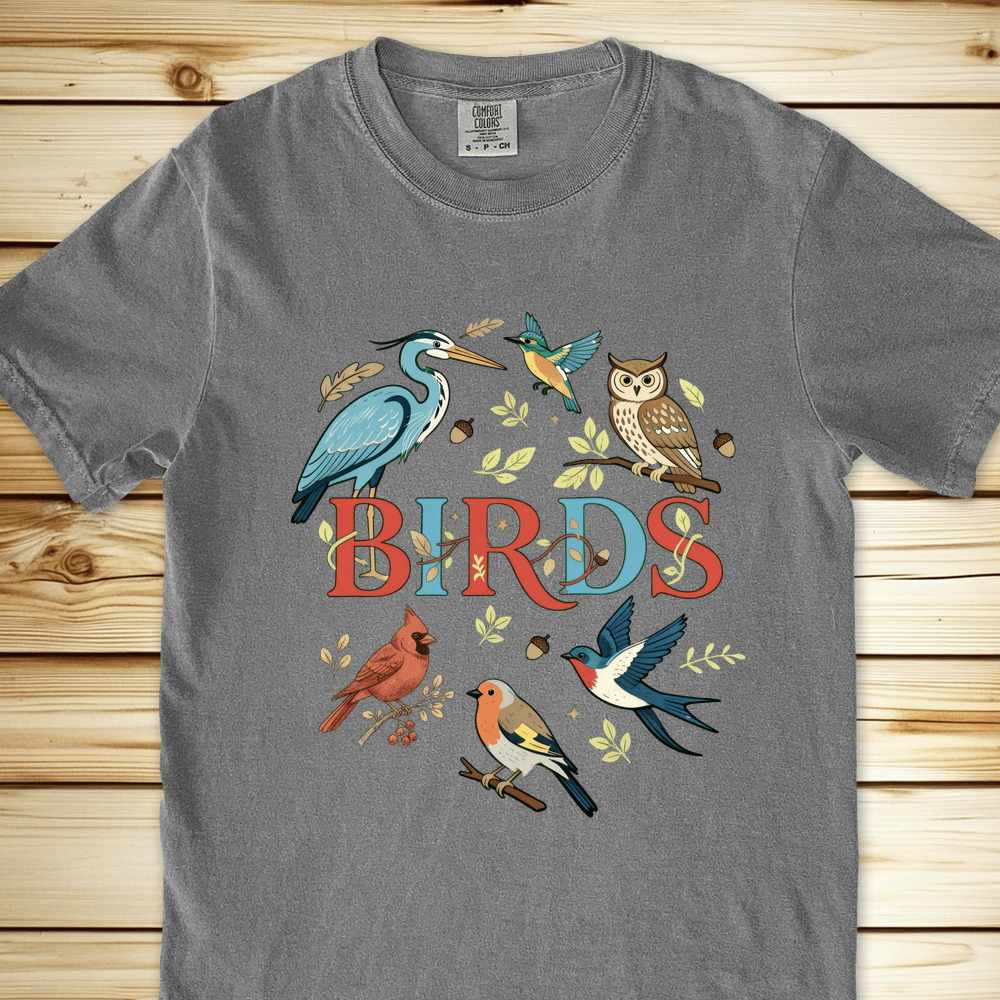 Birds Relaxed Fit Tee - Grey