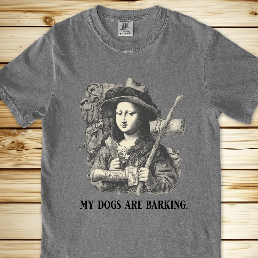 Mona Lisa Hiking Relaxed Fit Tee - Grey