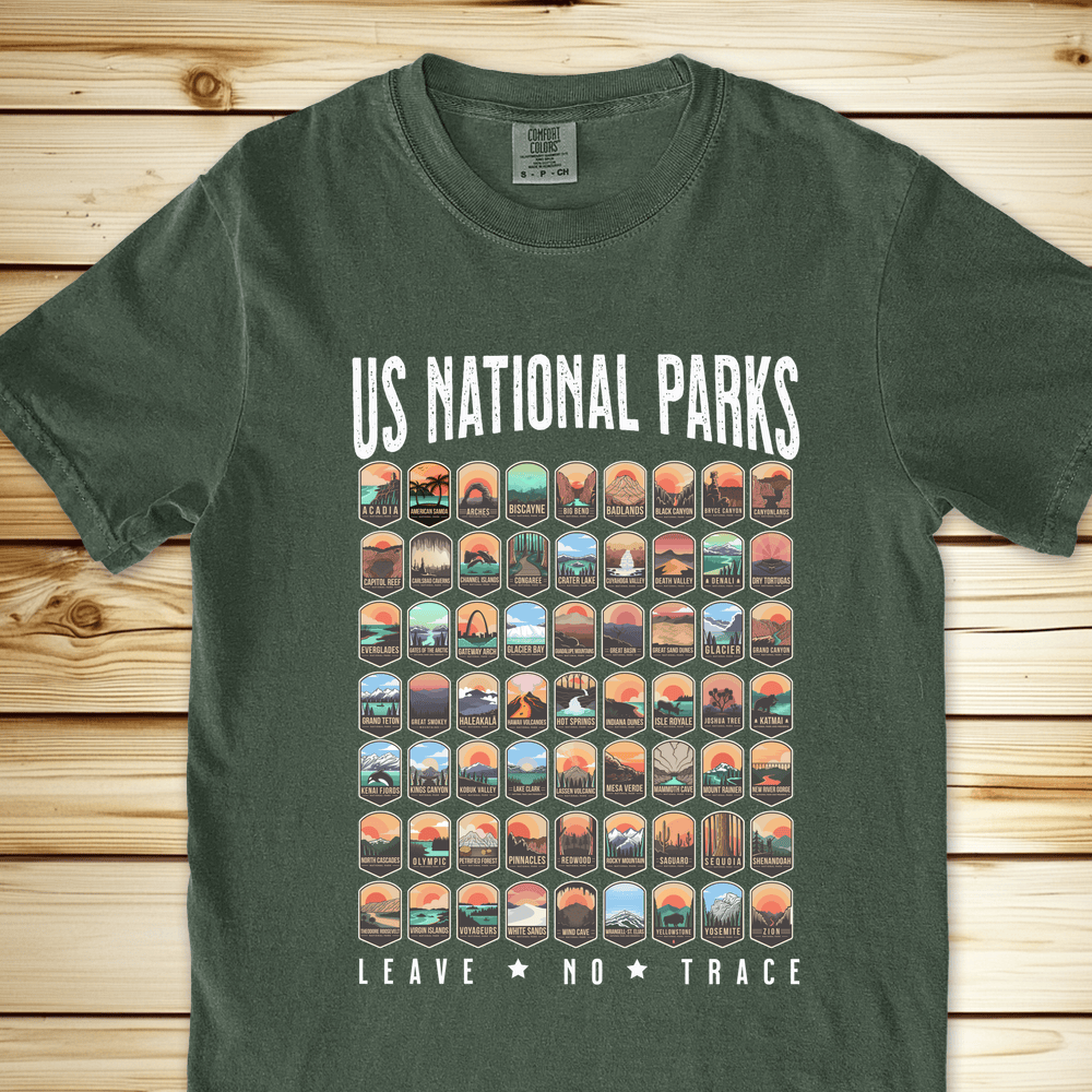 1749 National Parks Relaxed Fit Tee - Moss