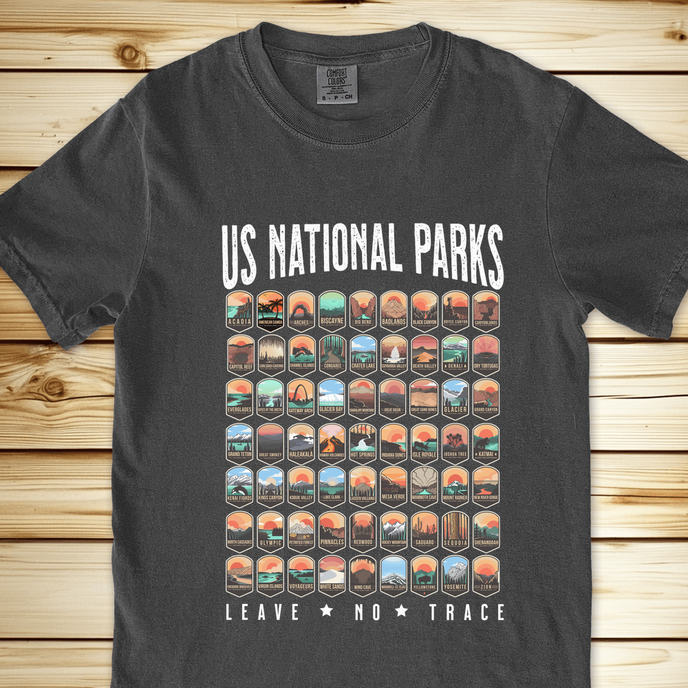 1749 National Parks Relaxed Fit Tee - Pepper